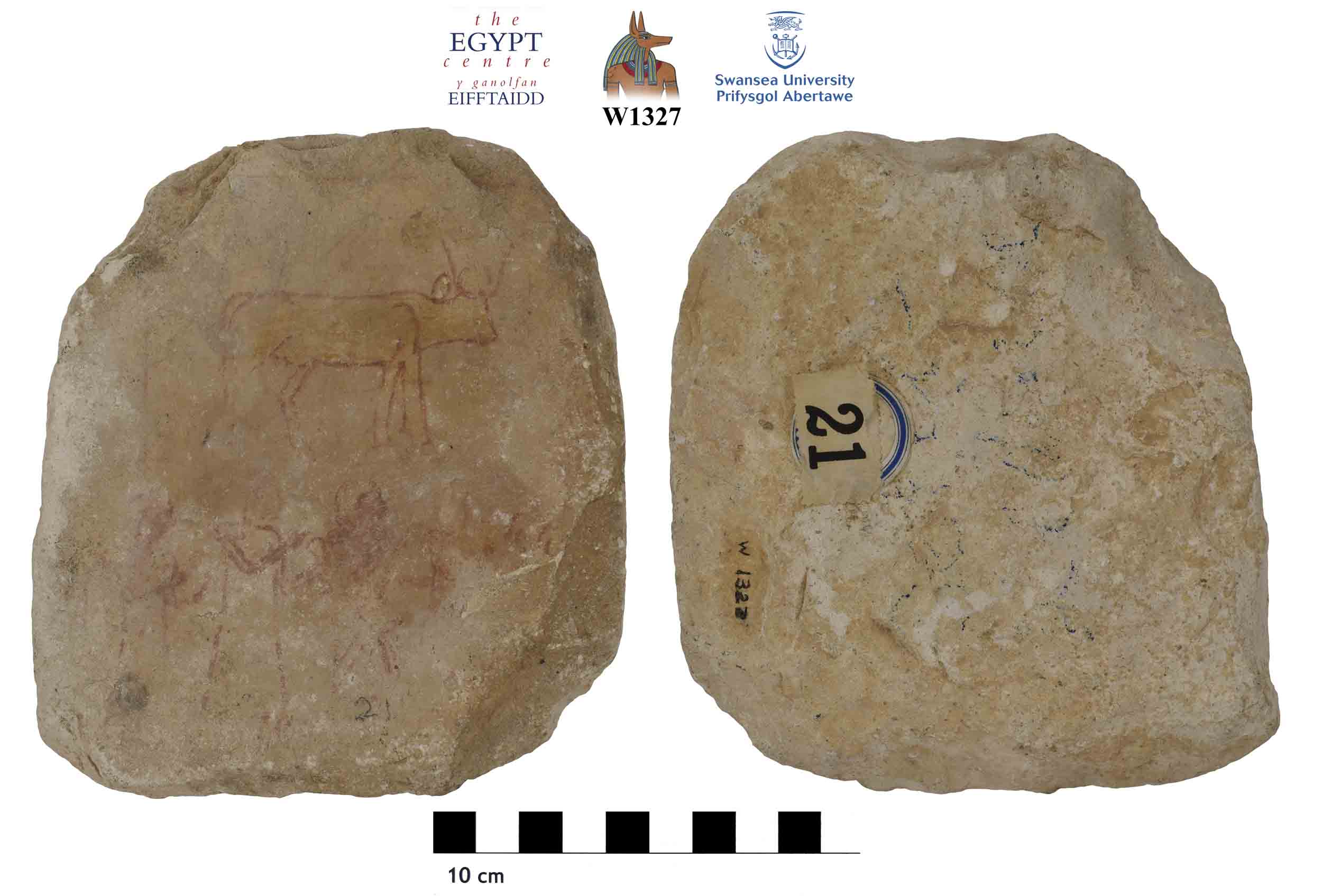 Image for: Ostracon
